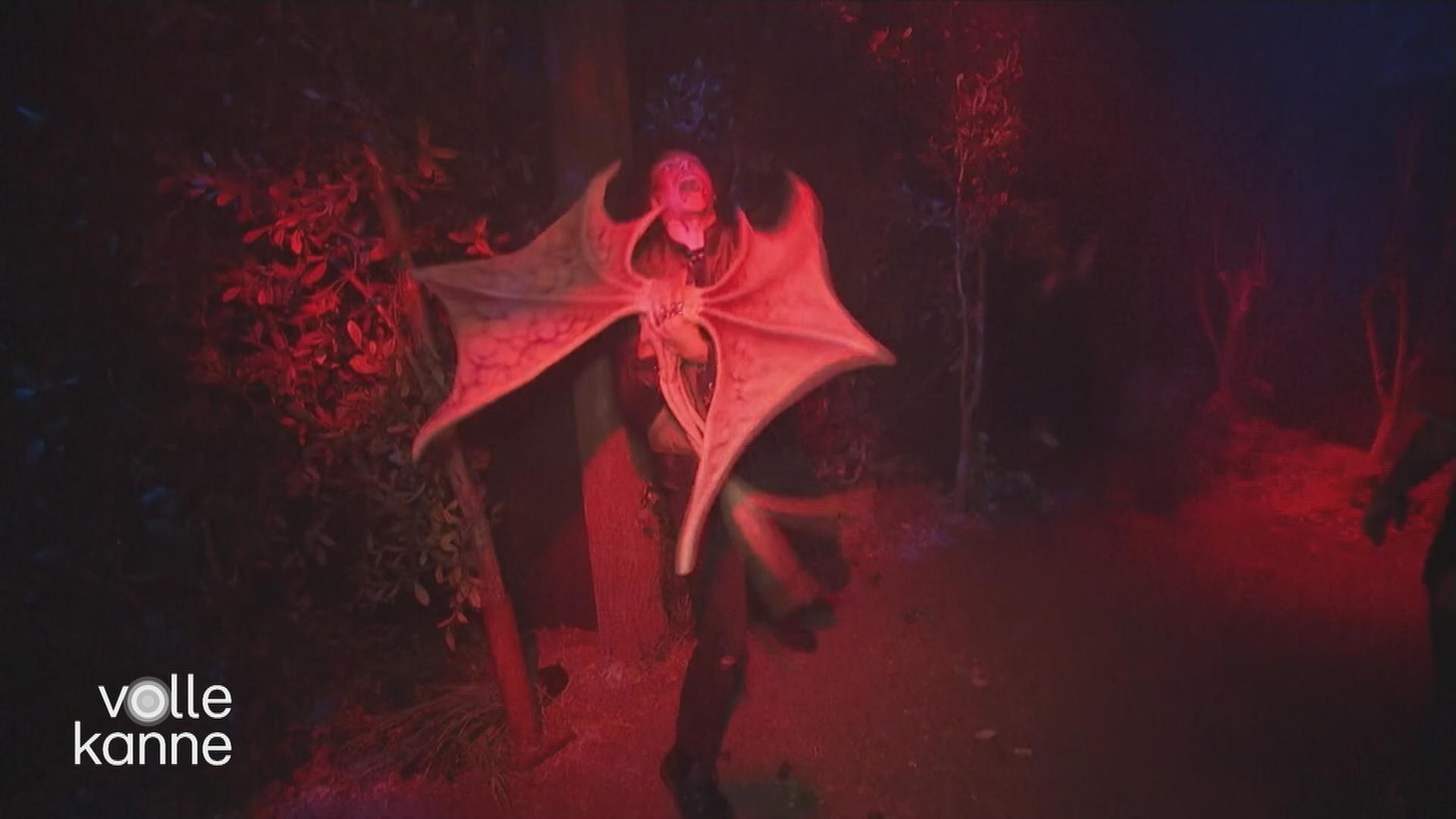 Die Horror-Katharsis