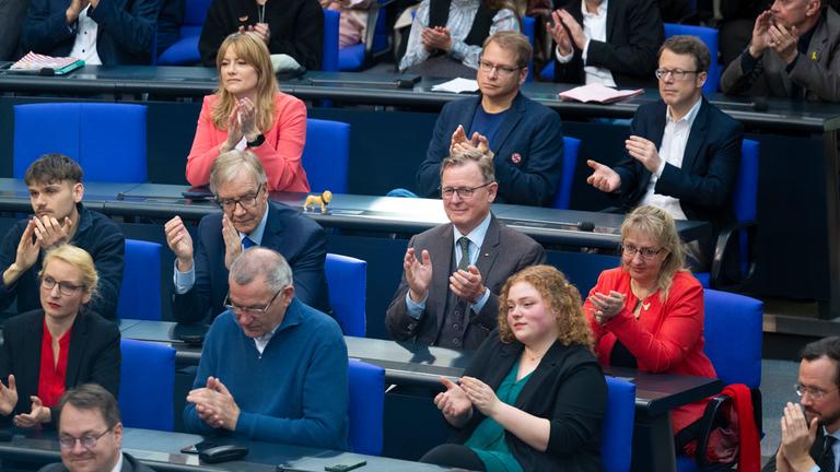 Die Linke im Bundestag