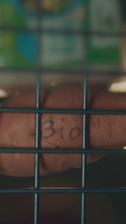 Eine Süßkartoffel mit der Aufschrift "Bio" in einer Metallkiste.