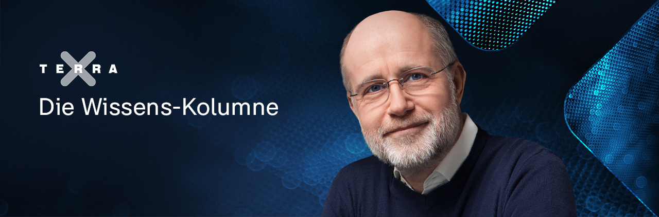Terra X - Die Wissens-Kolumne: Harald Lesch