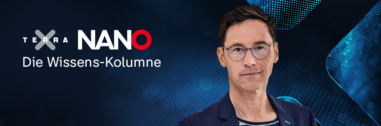 Terra X | Nano - Die Wissens-Kolumne: Gregor Steinbrenner