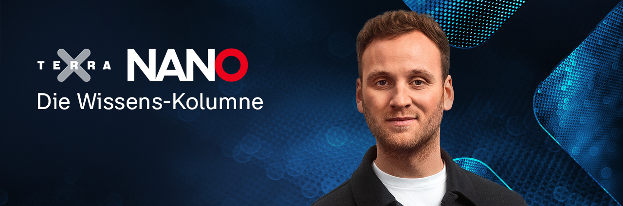 Terra X | Nano - Die Wissens-Kolumne: Leon Windscheid