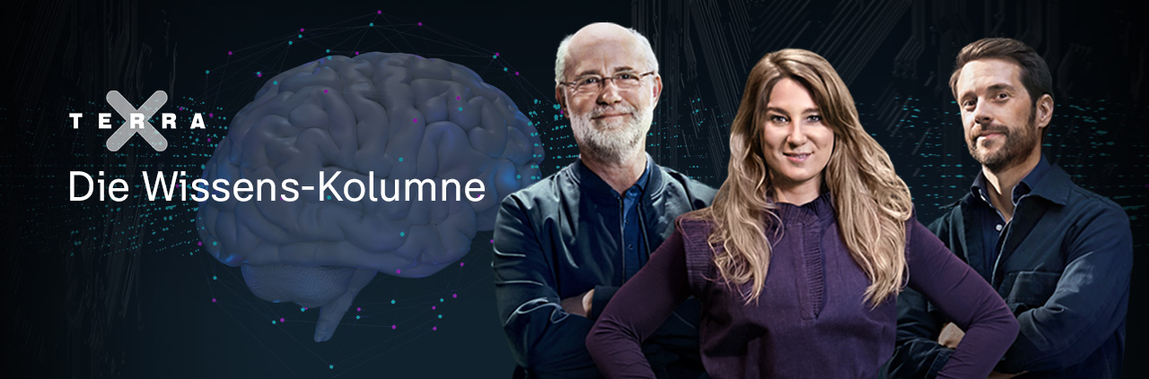 Terra X - Die Wissens-Kolumne: Harald Lesch, Jasmina Neudecker und Mirko Drotschmann