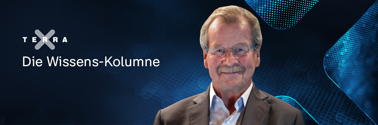 Terra X - Die Wissens-Kolumne: Manfred Nowak