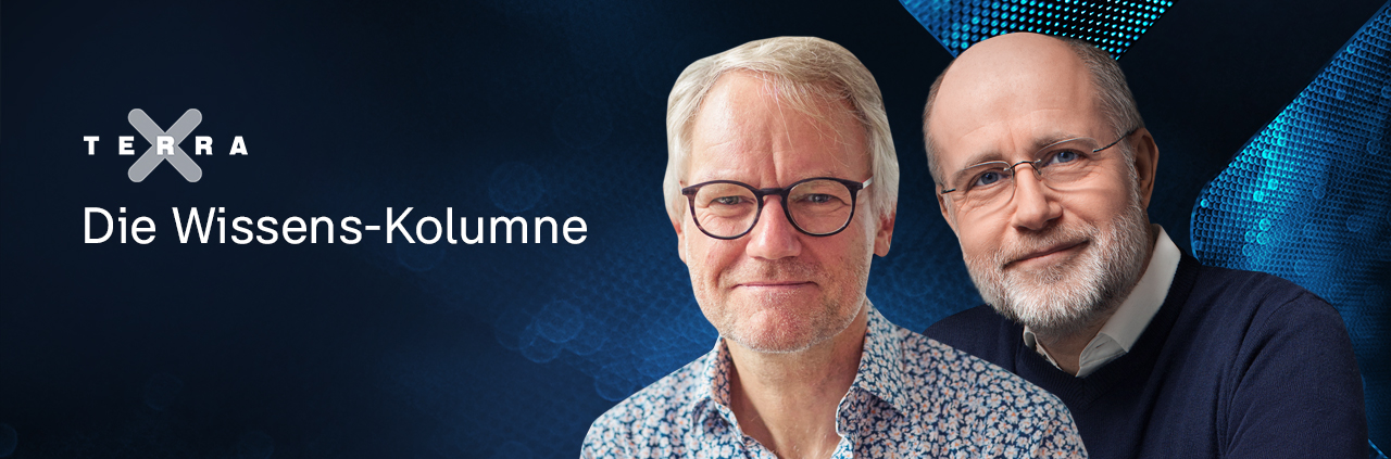 Terra X | Nano - Die Wissens-Kolumne: Axel Kleidon - Harald Lesch