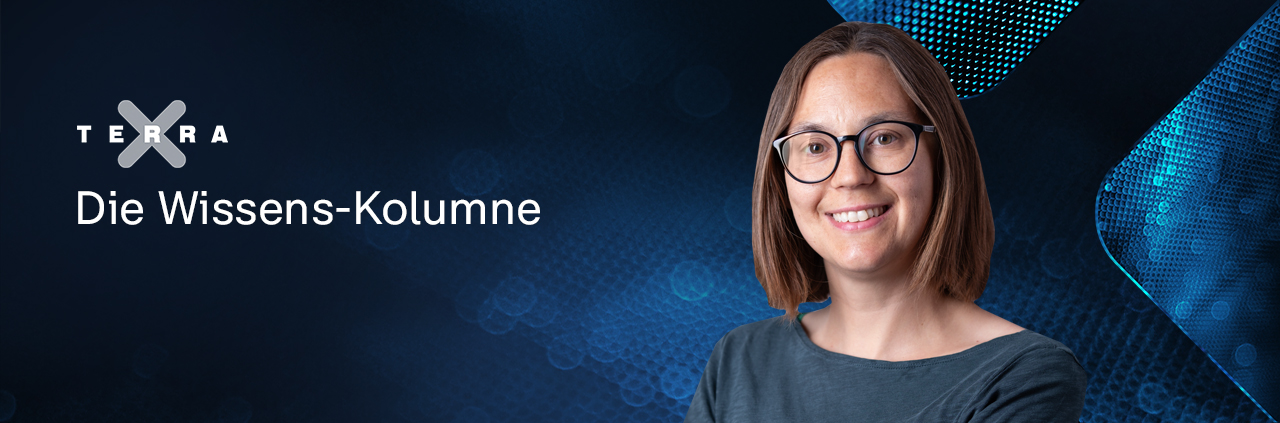 Terra X - Die Wissens-Kolumne: Kristina Suchotzki