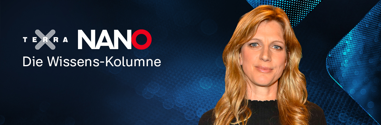 Terra X - Die Wissens-Kolumne: Maja Göpel