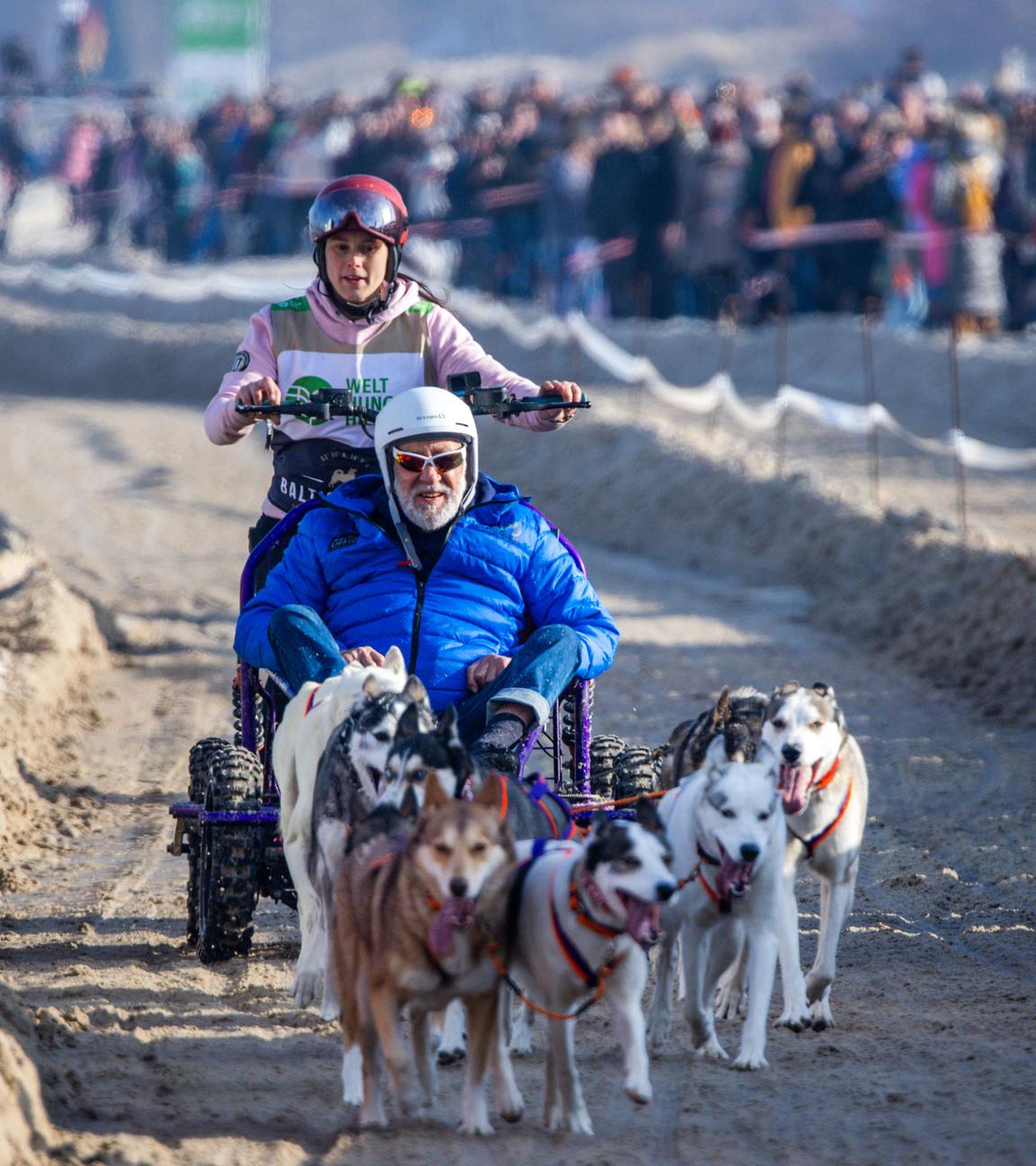 Dieter Hallervorden beim Hundeschlittenrennen
