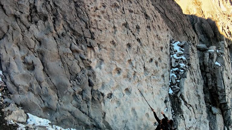 Auf einem Berg in den italienischen Alpen wurden Dinofunde ausgegraben