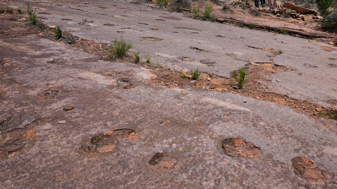 https://www.zdfheute.de/assets/dino-spuren-bolivien-100~1280x720?cb=1765262454456
