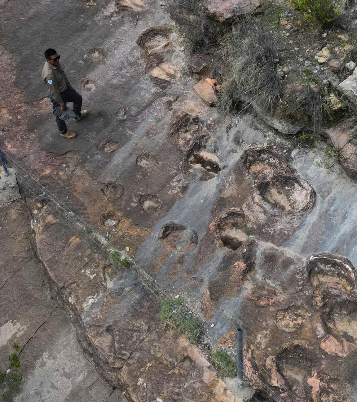 Dinospuren in einem Nationalpark in Bolivien
