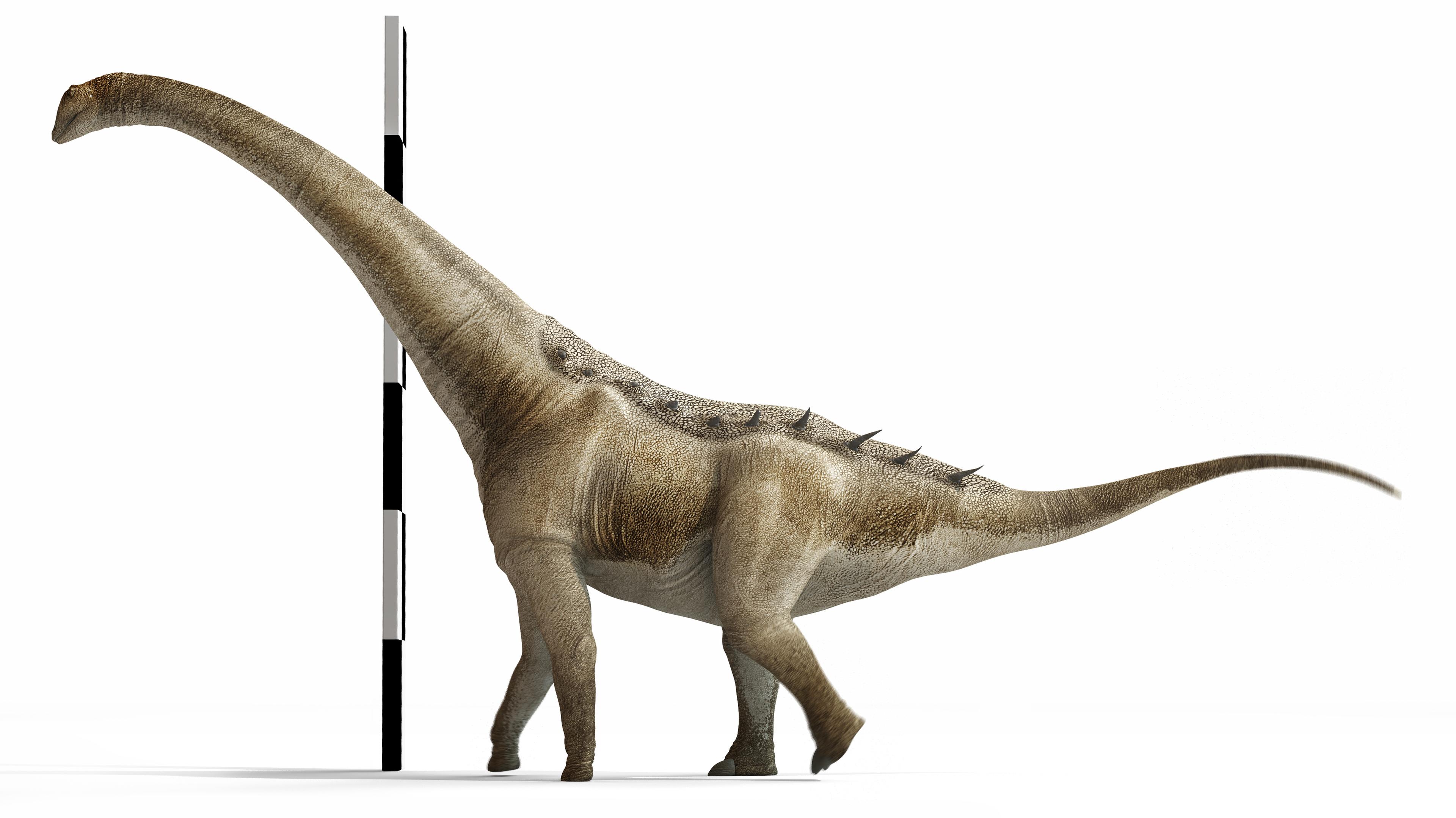 "Qunkasaura pintiquiniestra", Pflanzenfresser-Dinosaurier