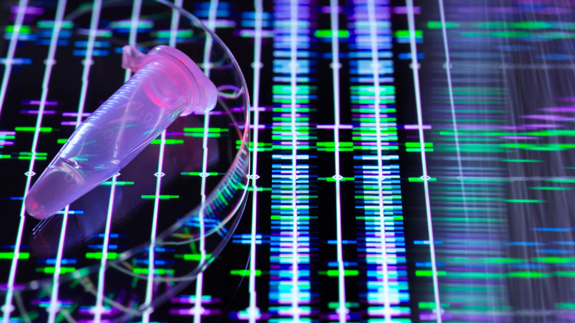 Ein Probenröhrchen liegt auf einem Bildschrm mit einer DNA-Analyse.