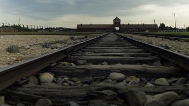 Auschwitz Birkenau  Gleise, die in den Tod führten.