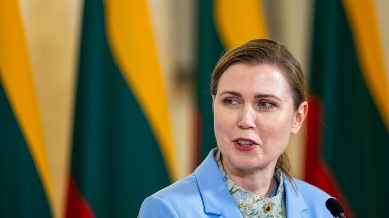Litauens Verteidigungsministerin Dovilė Šakalienė