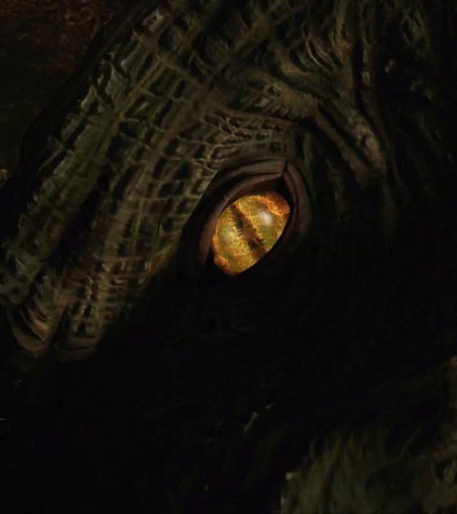 Drachenauge (Animation)