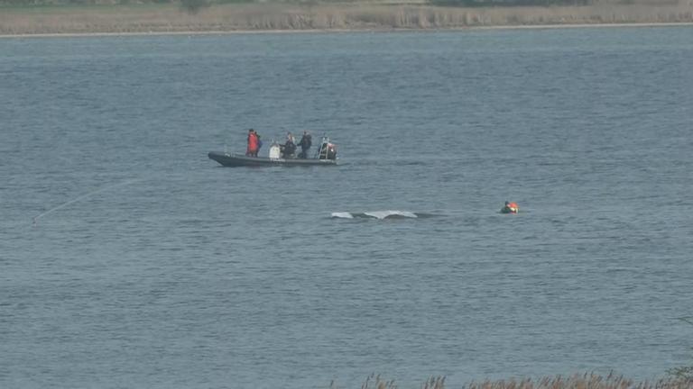 Wal mit Taucher und Boot