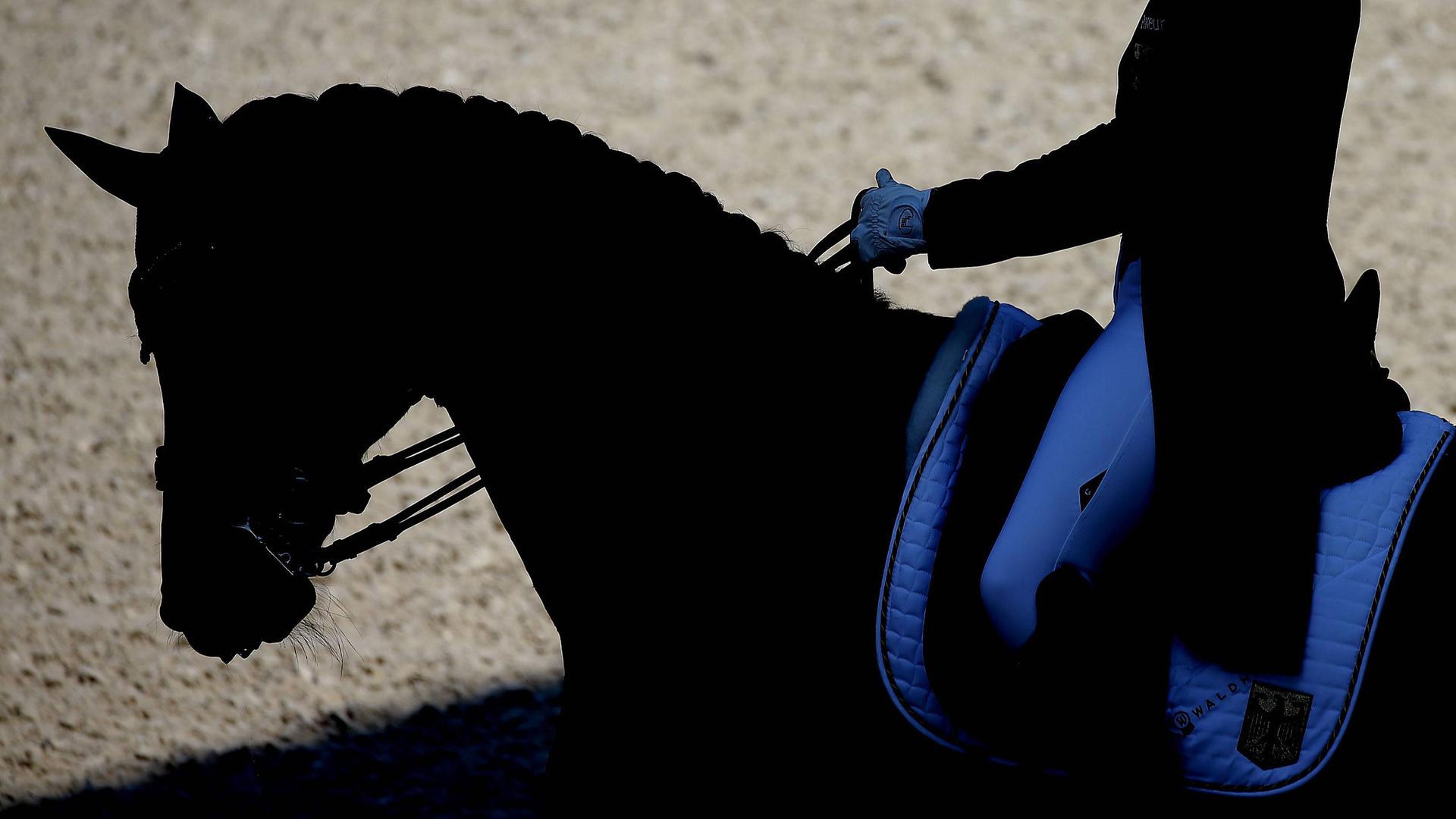 Dressur Weltcup in Stuttgart (Symbolbild)