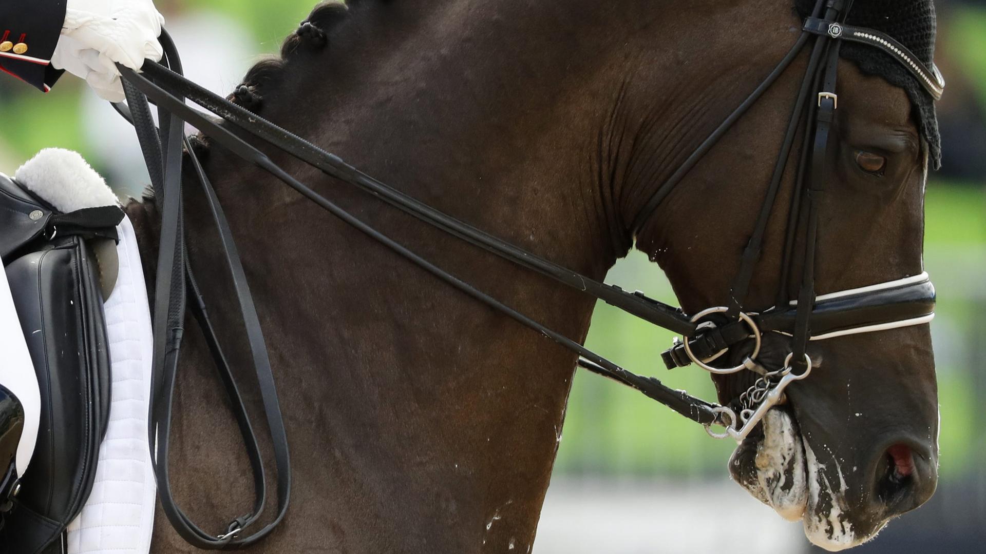 Charlotte Dujardin auf Valegro