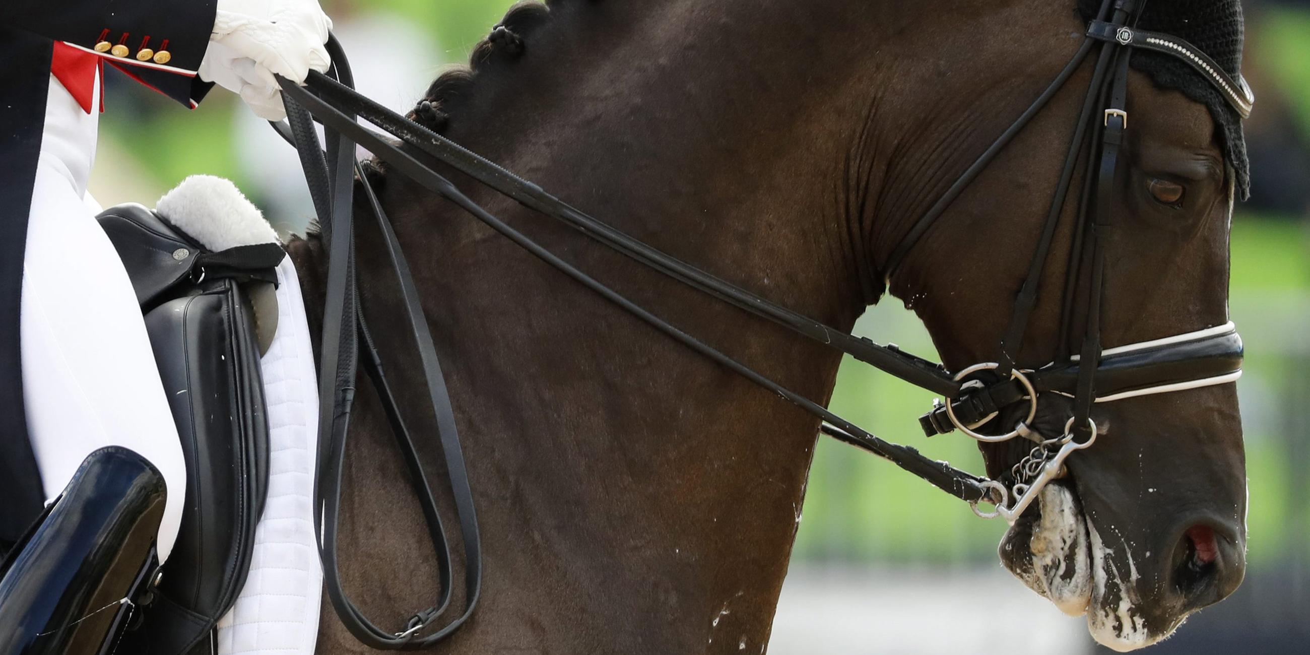 Charlotte Dujardin auf Valegro