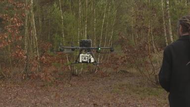 Drohne im Wald