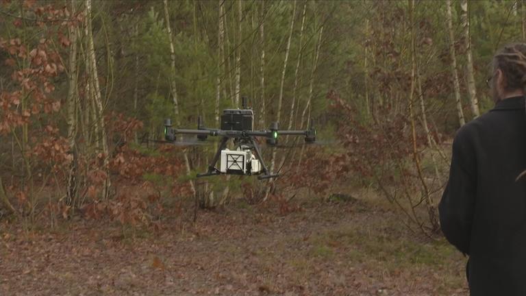 Drohne im Wald