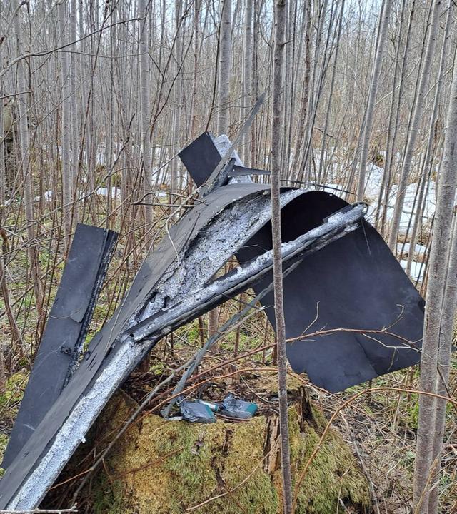  Lettland, Kraslava: Trümmerteile hängen an der Absturzstelle einer Drohne in der Vegetation in der Nähe von Kraslava.
