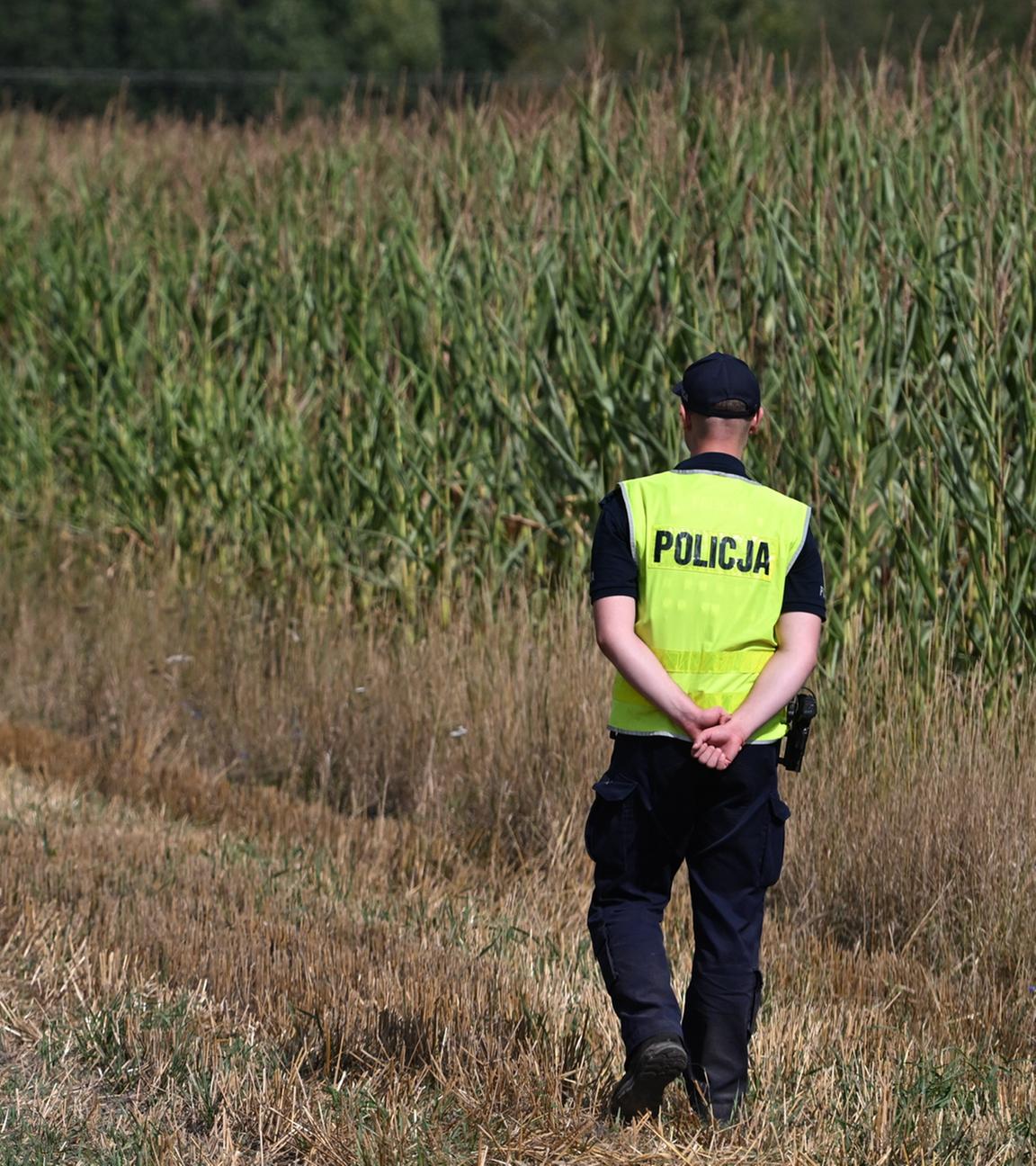 Polizei sichert das Gebiet eines Maisfeldes in Osiny, Ostpolen