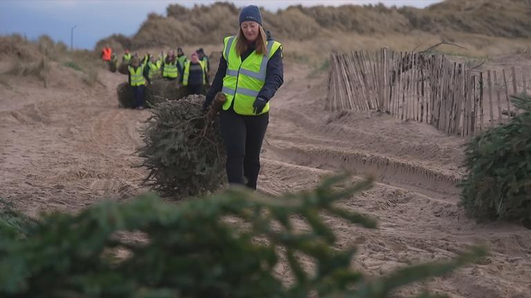 Frau, die Weihnachtsbaum am Strand trägt