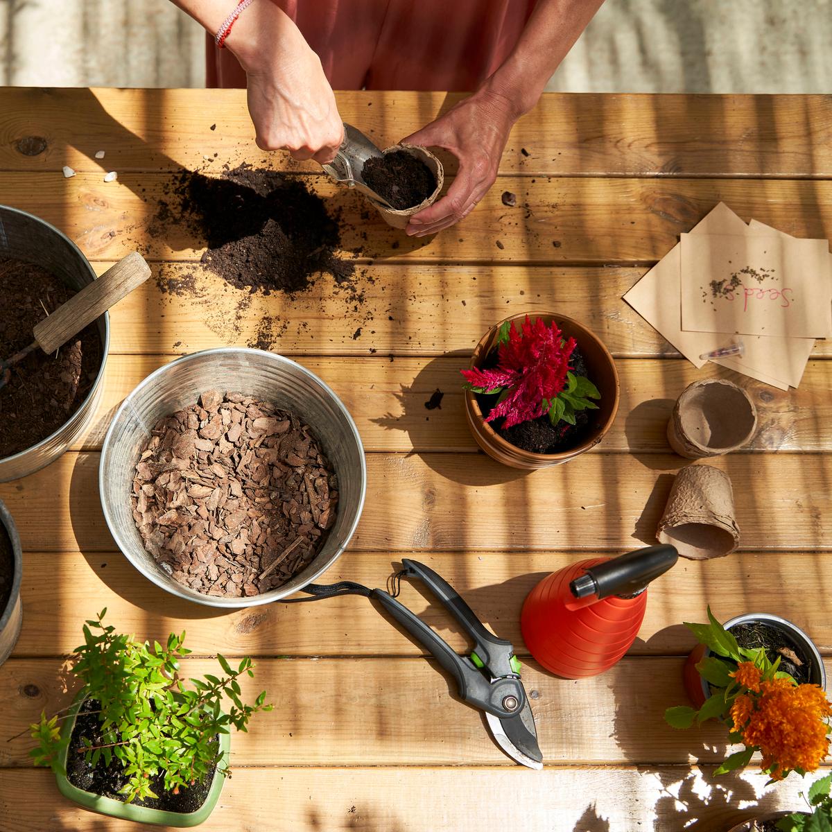 Dnger: So machen Sie Blumen- und Pflanzendnger selbst