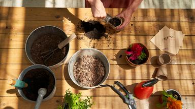 Eine Frau topft verschiedene Pflanzen in neue Gefäße um, es sind sind Töpfe und Gartenwerkzeuge von oben zu sehen.