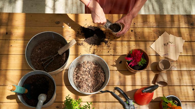 Eine Frau topft verschiedene Pflanzen in neue Gefäße um, es sind sind Töpfe und Gartenwerkzeuge von oben zu sehen.