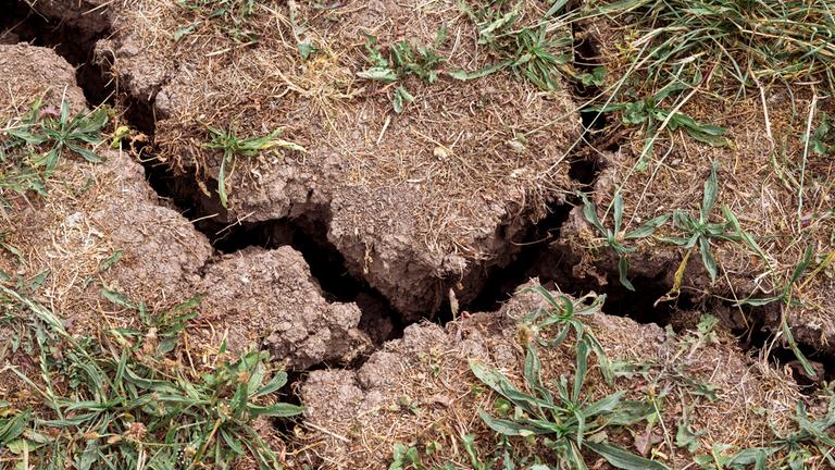 (Archiv) Risse in einer ausgetrockneten Wiese in Bayern.