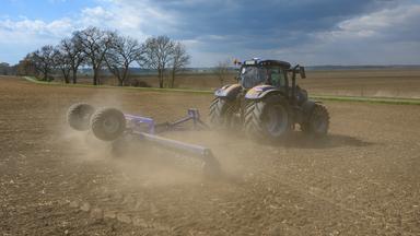 Durch die anhaltende Hitze und den Wassermangel hat die Landwirtschaft mit extremer Dürre zu kämpfen.
