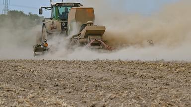 Durch die anhaltende Hitze und den Wassermangel hat die Landwirtschaft mit extremer Dürre zu kämpfen.