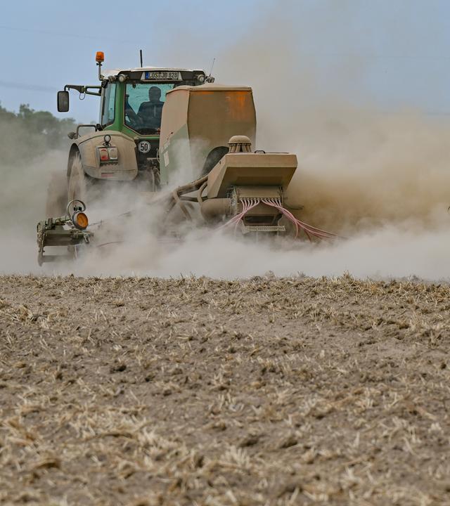 Durch die anhaltende Hitze und den Wassermangel hat die Landwirtschaft mit extremer Dürre zu kämpfen.