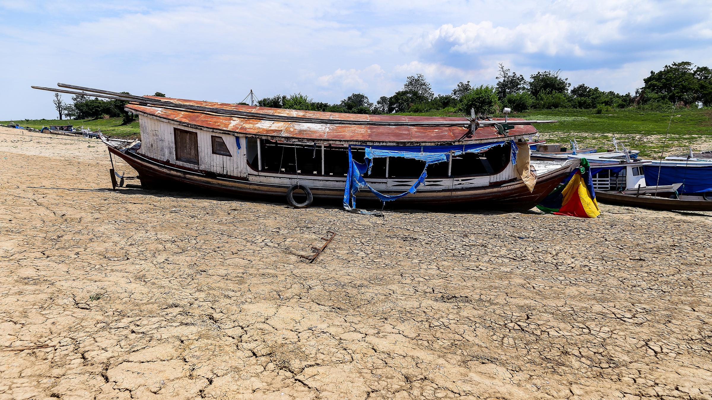 Dürre im Amazonas (Brasilien)