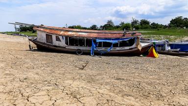 UN-Klimaexperten rechnen 2026 mit Rückkehr von El Niño