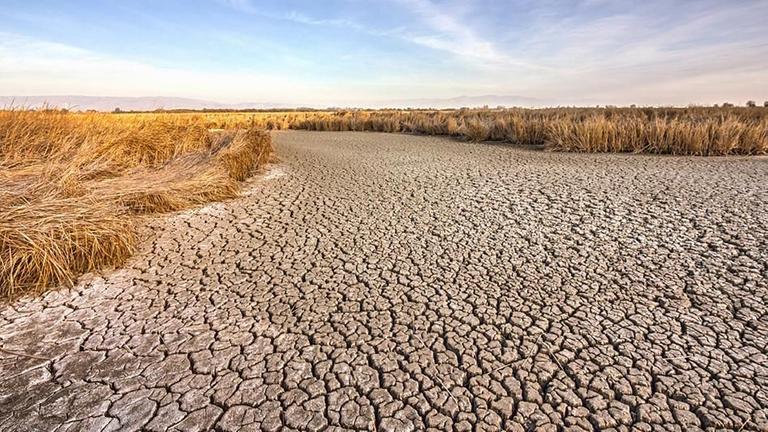 Verdorrtes Feld in Kalifornien
