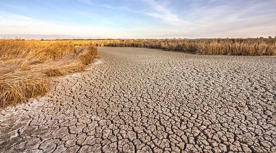 Verdorrtes Feld in Kalifornien