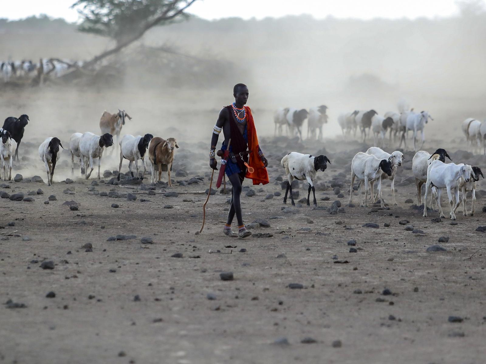 Wie Kenias Bäuerinnen Wetterextremen trotzen
