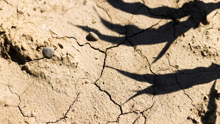 Trockener Boden mit Rissen
