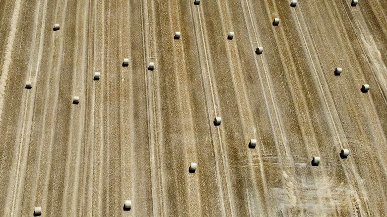 A picture taken with a drone shows bales of stubble on a dry field amid a heatwave, in Karlsruhe, Germany, 11 July 2023.
