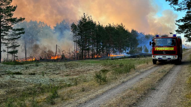  Rauch und Flammen steigen in den Himmel aus einem Waldgebiet, durch das ein Löschfahrzeug der Feuerwehr fährt.