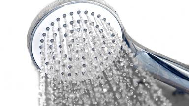 Aus einem Duschkopf läuft Wasser (Nahaufnahme).