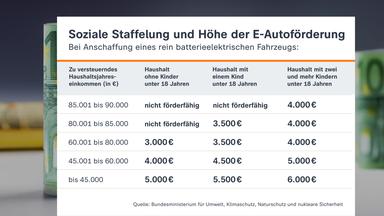 Grafik zur sozialen Staffelung und E-Autoförderung
