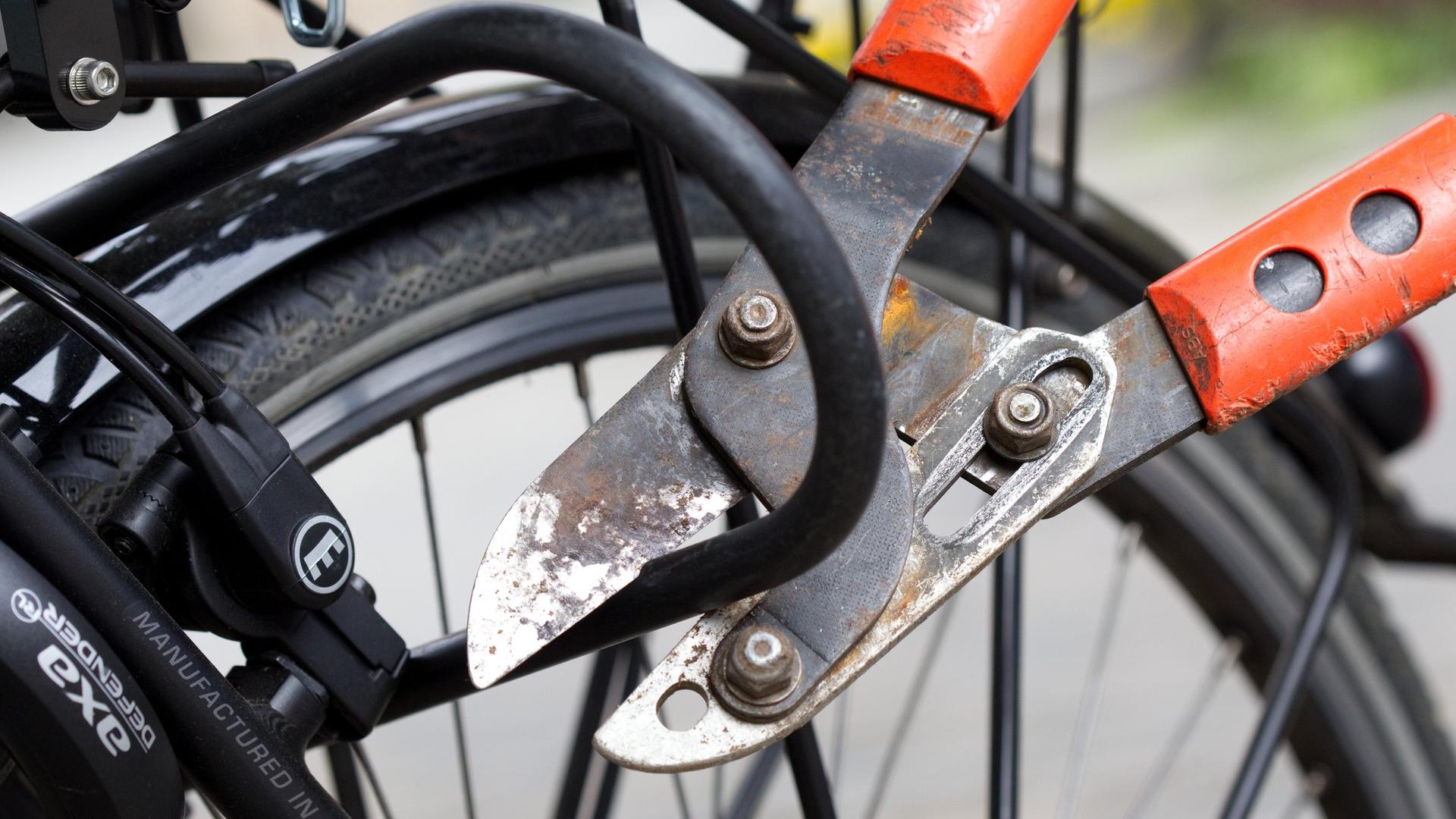 Fahrrad-Diebstahl