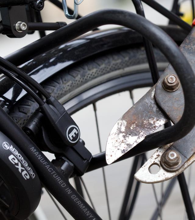 Fahrrad-Diebstahl
