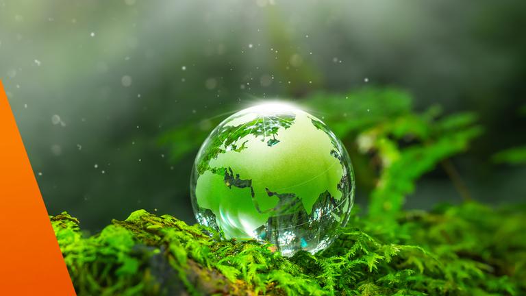 Erde in grüner Farbe dargestellt mit Pflanzen: Was ist der Earth Overshoot Day? Und was bedeutet es für Deutschland?