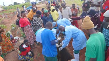  Mitglieder des Einsatzteams senken den Leichnam von Baudo Baraka Jules gemäß den Bestattungsvorschriften für Ebola-Opfer in Anwesenheit seiner Familie in Bunia, Demokratische Republik Kongo, am 18. August 2026 in ein Grab. 